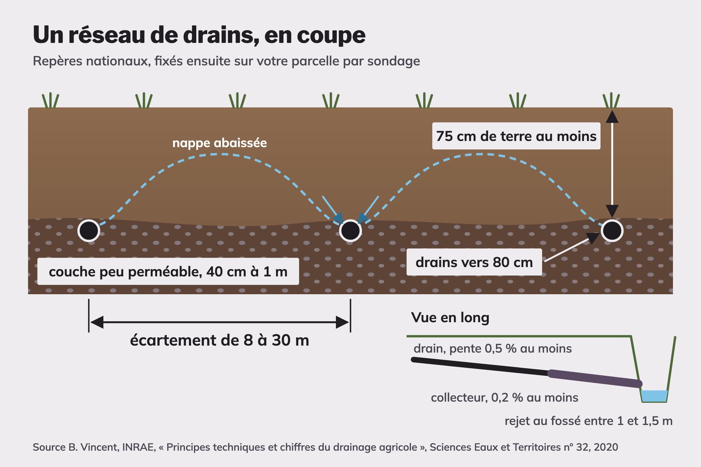 Schéma en coupe d'un réseau de drains agricoles, drains vers 80 cm de profondeur, écartement de 8 à 30 m, pentes de 0,5 % et 0,2 %, collecteur et fossé