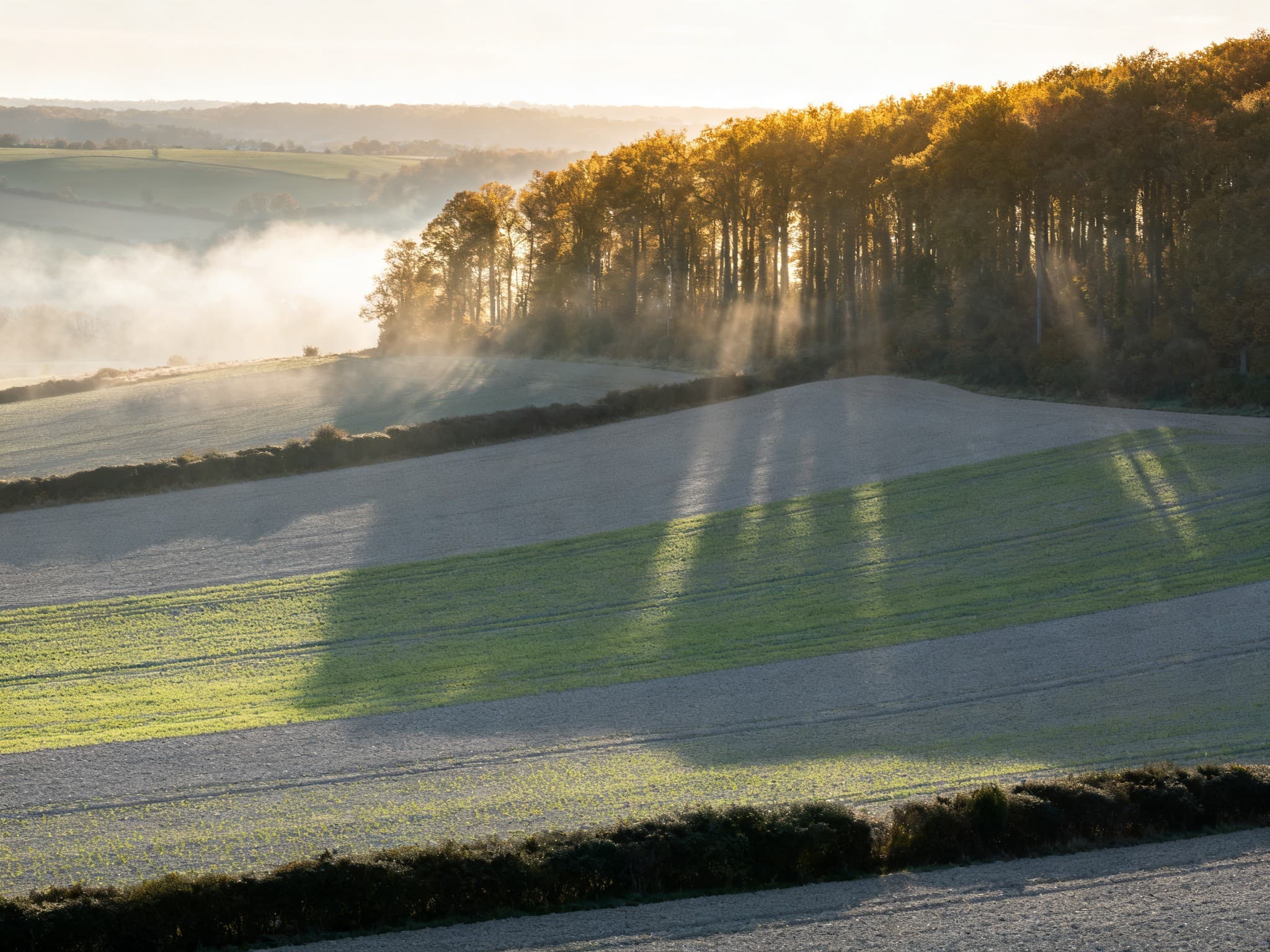 Parcelle agricole en bordure du plateau du Neubourg près de Bourgtheroulde-Infreville