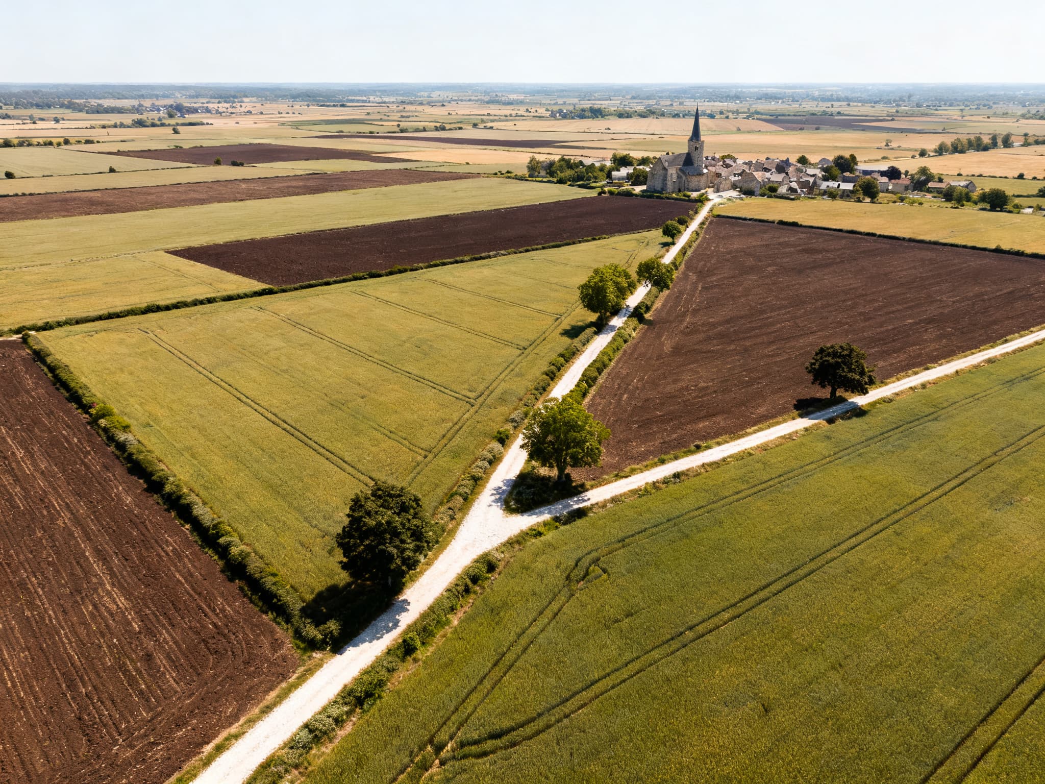 Parcelle agricole de la plaine de Caen, grande culture dans le Calvados