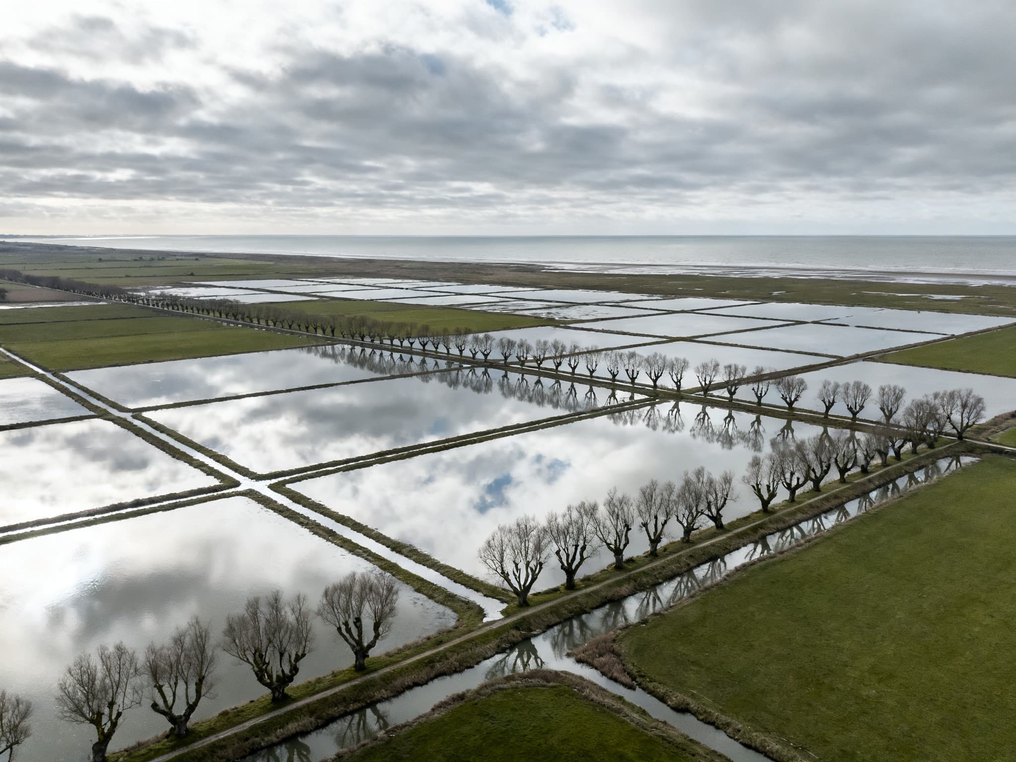 Parcelle agricole dans les marais du Cotentin, près de Carentan-les-Marais