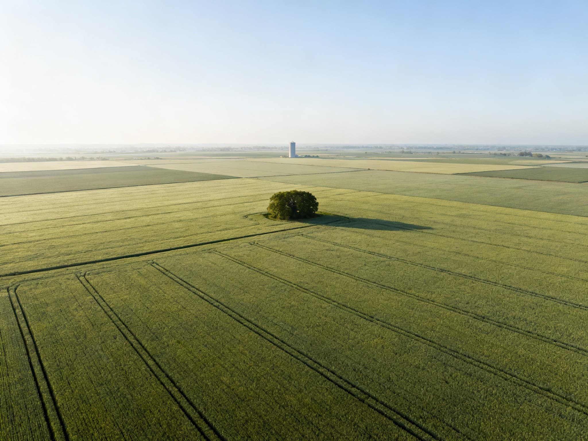 Grande parcelle céréalière sur le plateau crayeux du Vexin normand, près d'Étrépagny