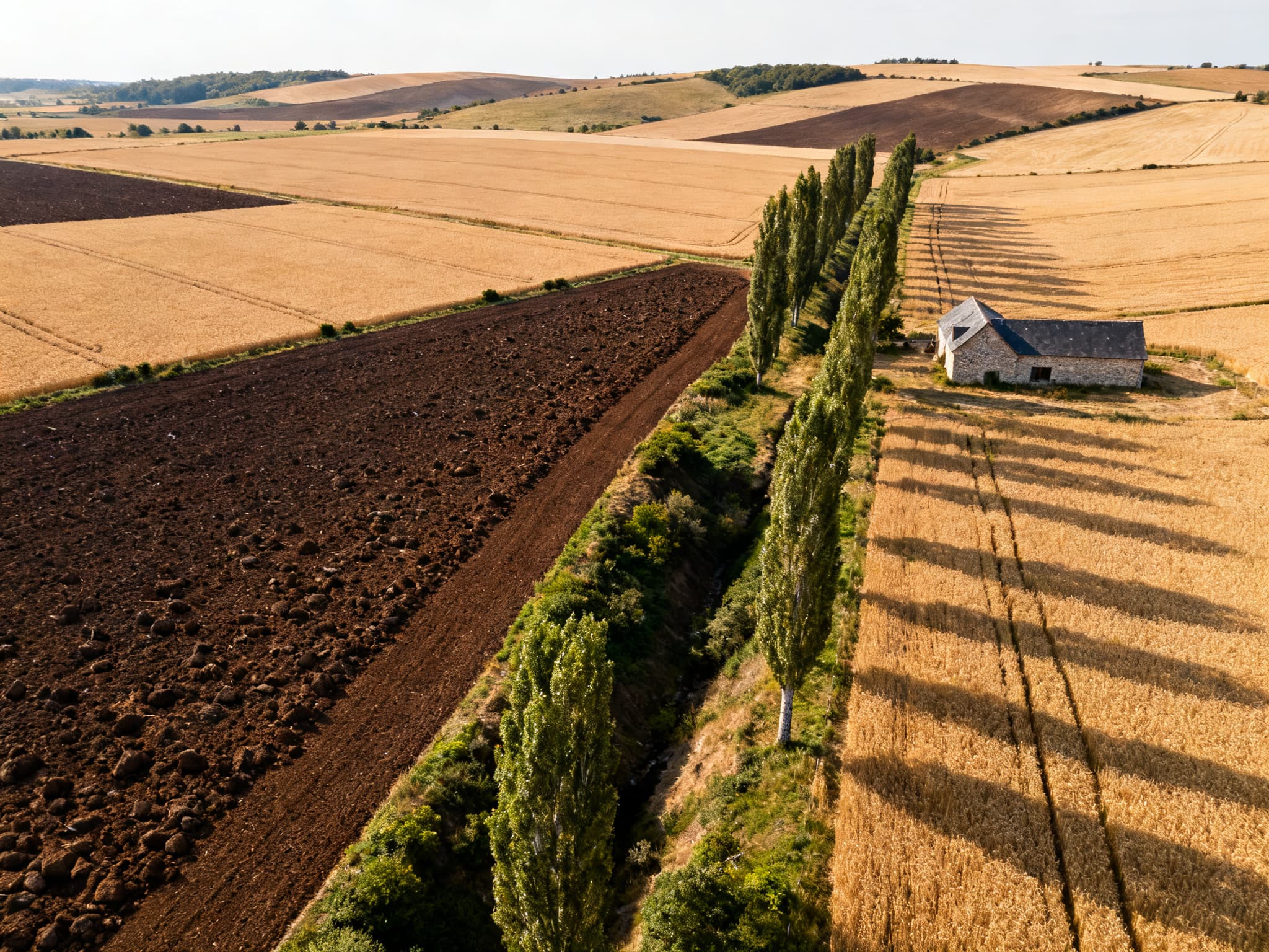 Grande parcelle de culture sur un plateau agricole de l'Eure, ciel normand