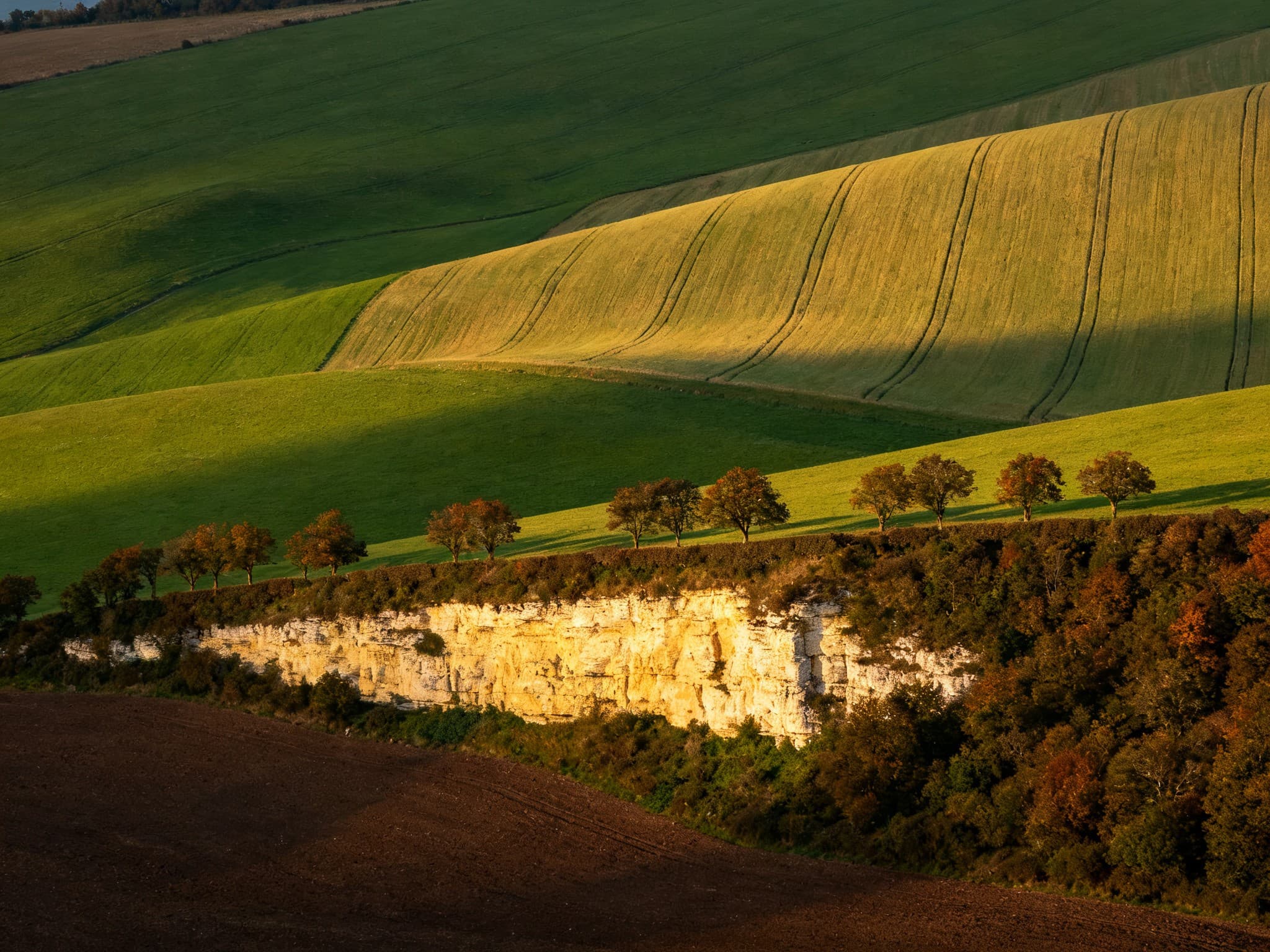 Parcelle agricole en relief vallonné, en bordure de la Suisse normande, près de Falaise