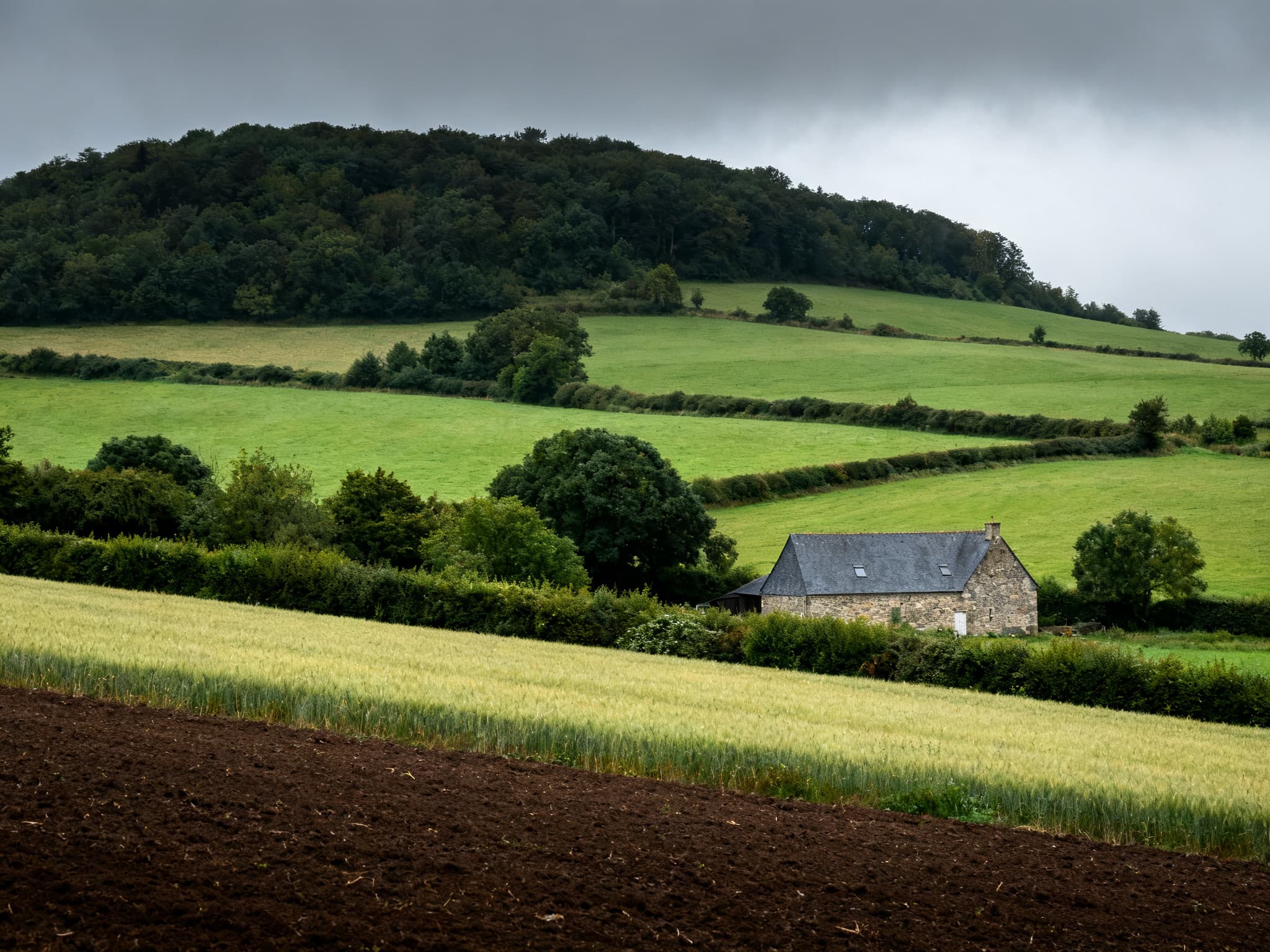 Parcelle agricole bocagère aux environs de Flers, dans l'Orne