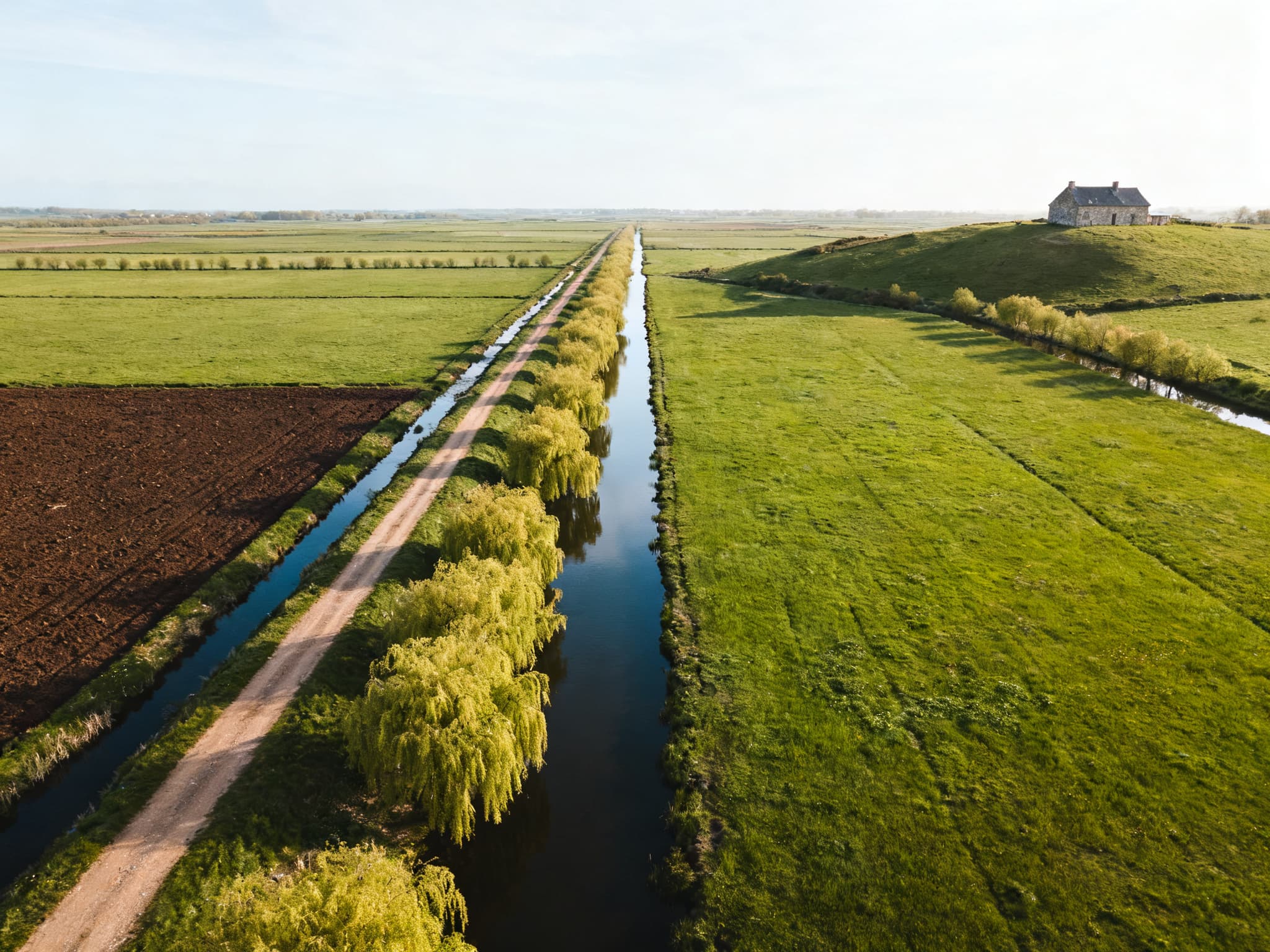 Parcelle agricole en lisière des marais du Cotentin, dans la Manche