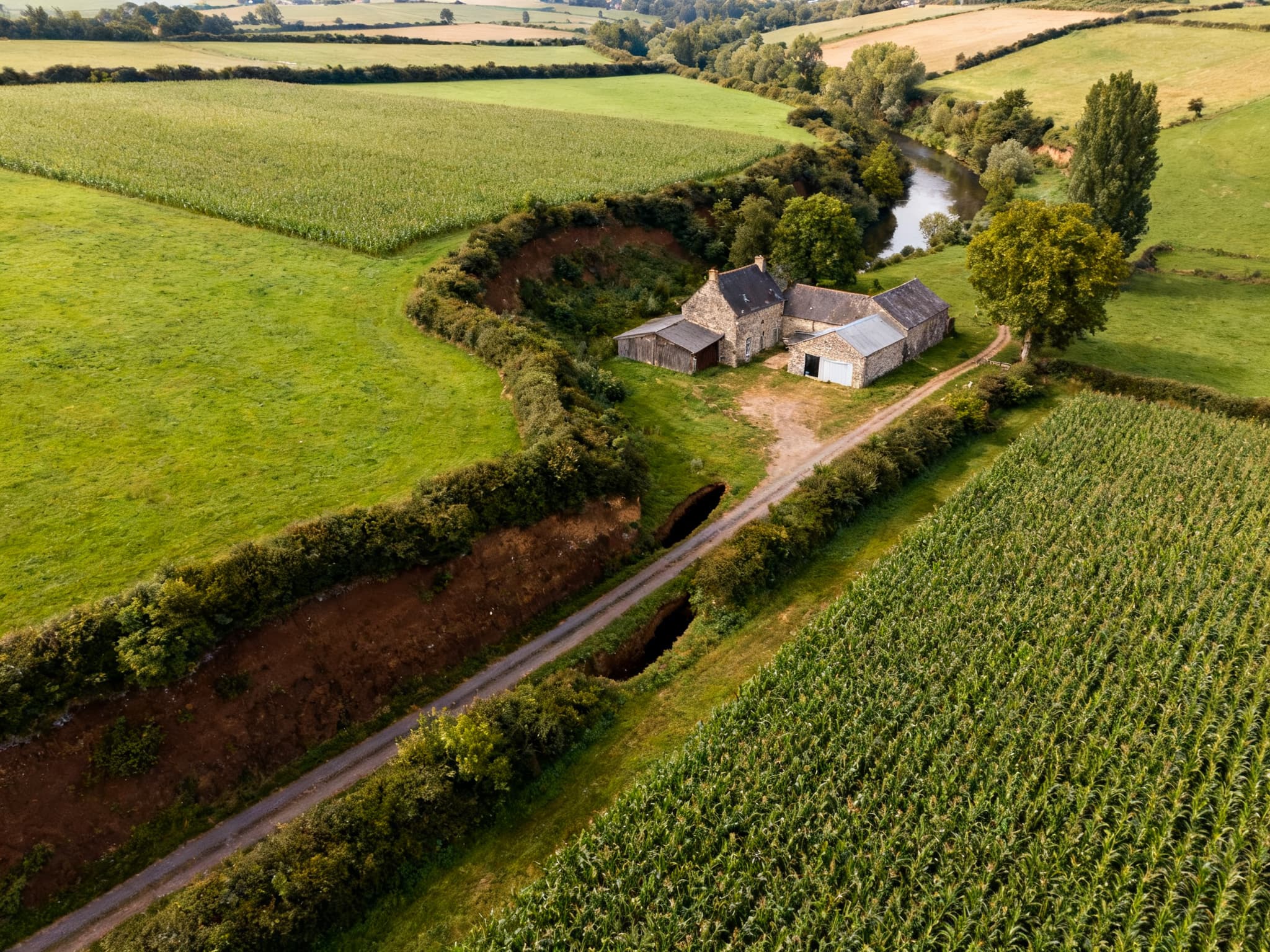 Parcelle agricole bocagère aux environs de Saint-Lô, dans la Manche