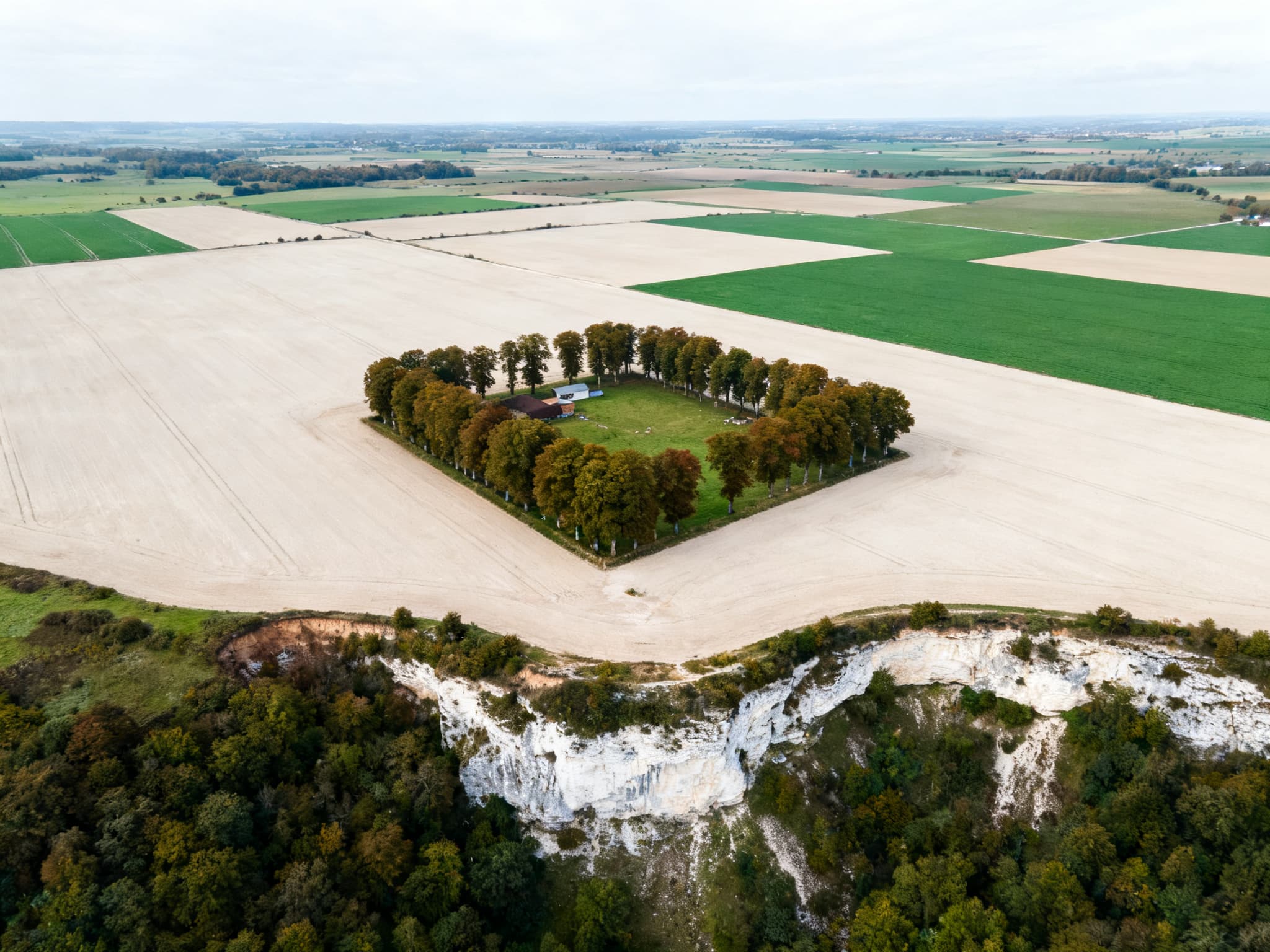 Plateau agricole limoneux du pays de Caux, grande parcelle de culture en Seine-Maritime