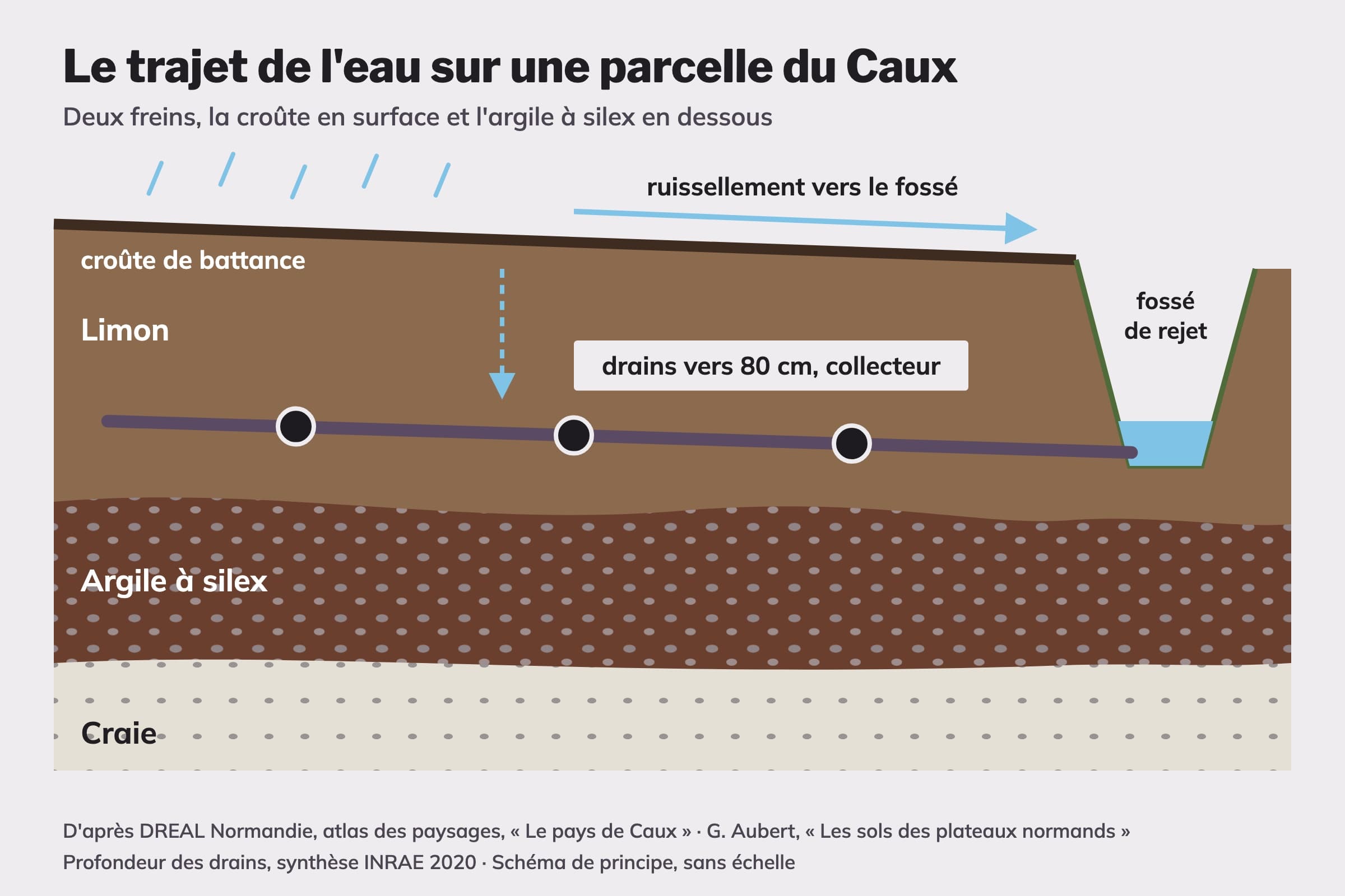 Schéma en coupe d'une parcelle du pays de Caux, croûte de battance en surface, limon, argile à silex, drain vers 80 cm, collecteur et fossé de rejet